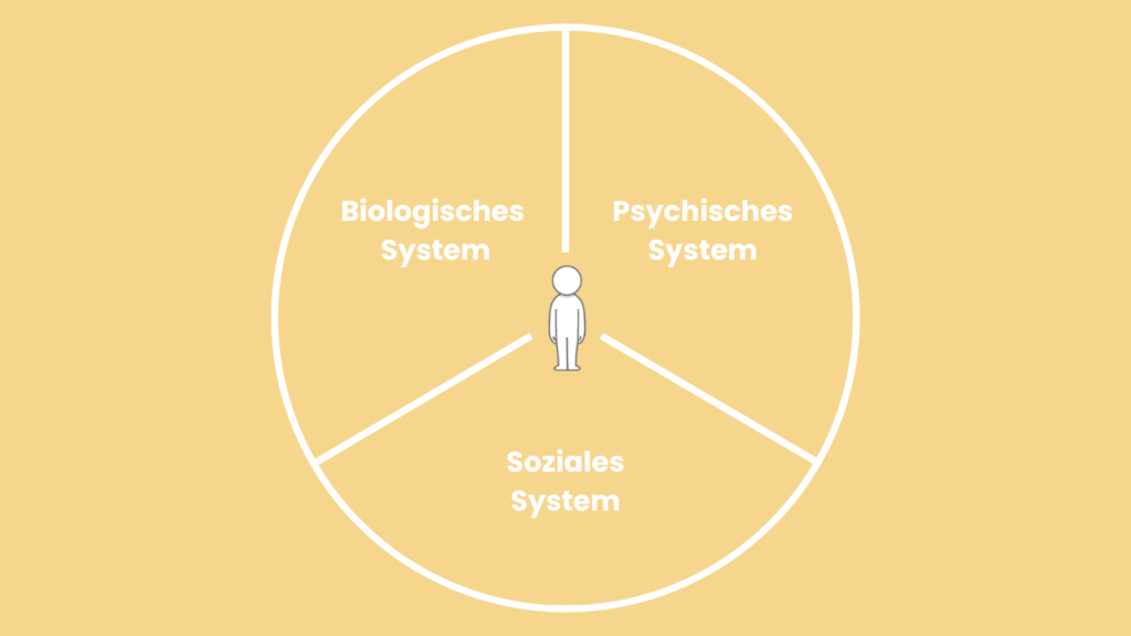 Eine schematische Darstellung des biopsychosozialen Modells: Ein Kreise mit den drei Abschnitten biologisches System, psychisches System und soziales System, die zeigen, wie alle Faktoren miteinander verbunden sind