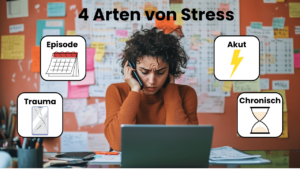Mehr über den Artikel erfahren Versteckter Dauerstress oder plötzliche Überforderung? Was die 4 Arten von Stress wirklich mit dir machen können